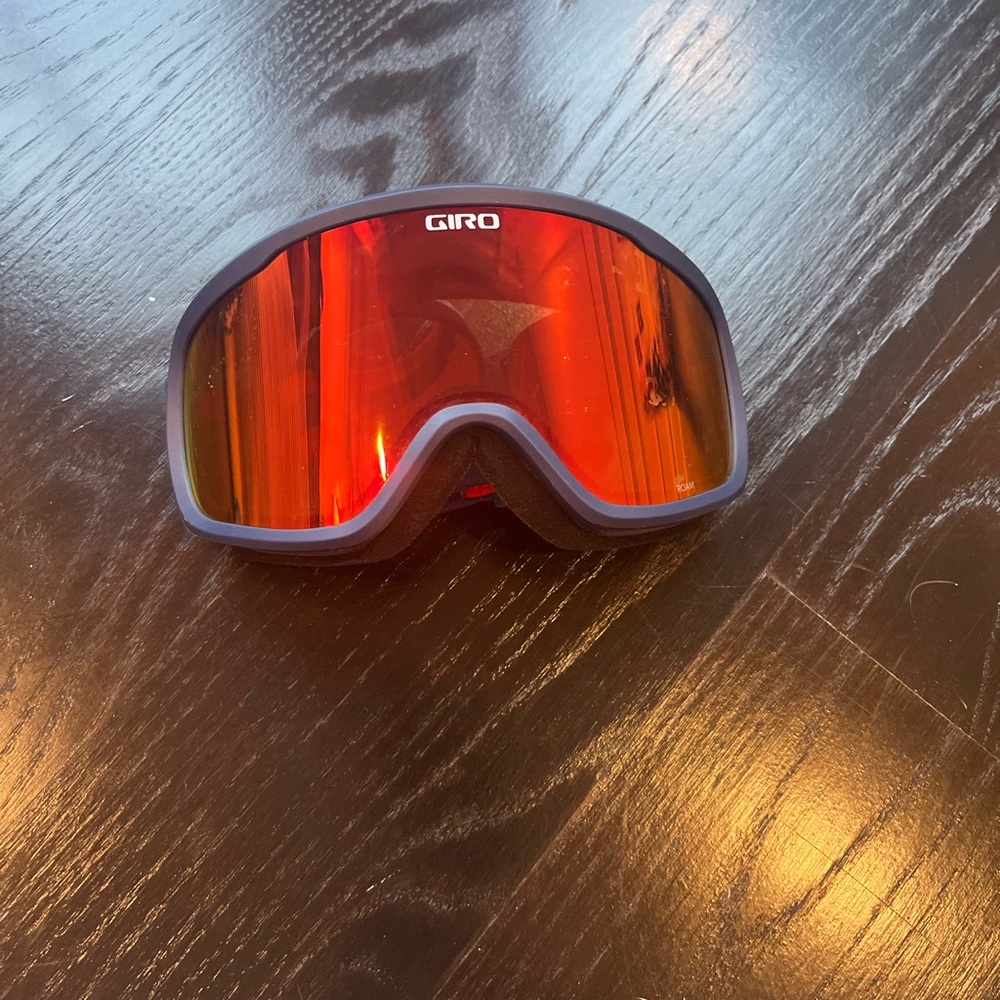 Ski Goggles - image 1